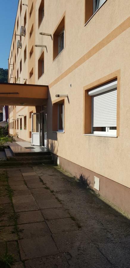 Ferienwohnung Pretty Bella Brașov Exterior foto